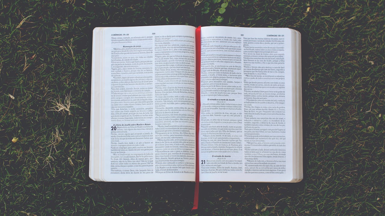Open Bible on grass with a red bookmark, emphasizing reflection and tranquility.